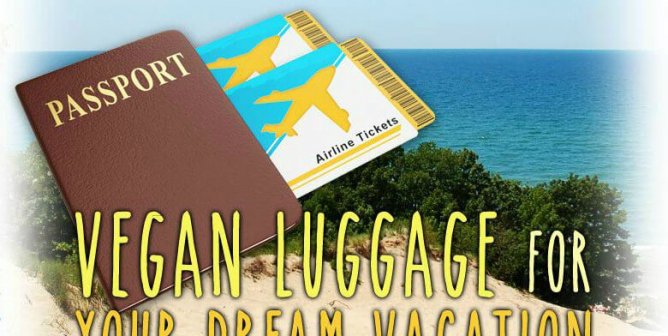 Vegan Luggage for Next-Level Traveling