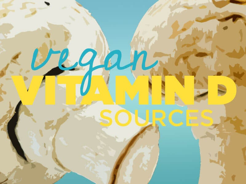 5 Ways To Increase Your Vitamin D Intake Peta