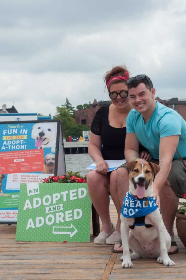 Joey, a PETA rescue you may remember from this very blog, found his perfect match in a young couple from  Virginia.