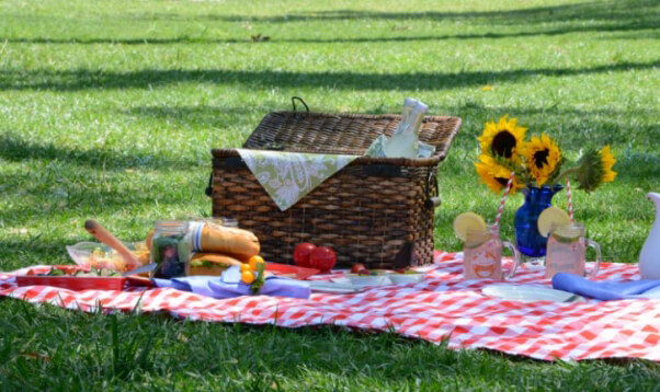 Grassy picnic