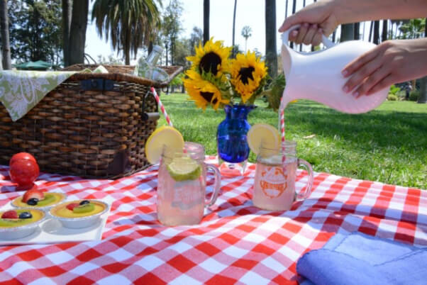 Lemonade Picnic