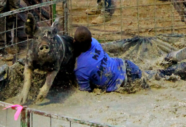 Pig-Wrestling-tackle-close-up