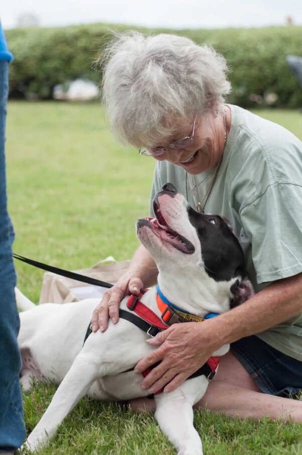 Tika, also from the Virginia Beach SPCA, makes a new friend.