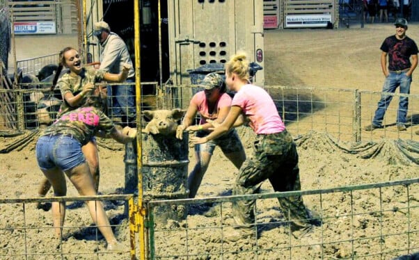 girls surround pig in barrel at pig wrestling event