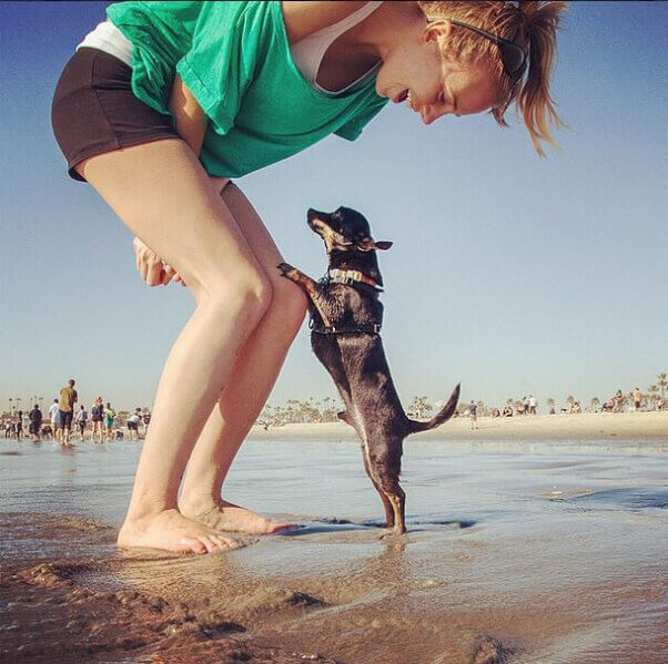 Cute Dog on Beach