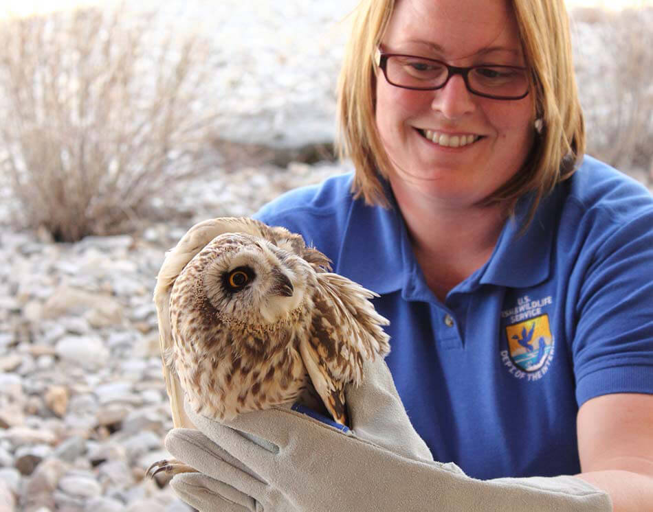 san diego wildlife rescue birds san diego wildlife rescue birds