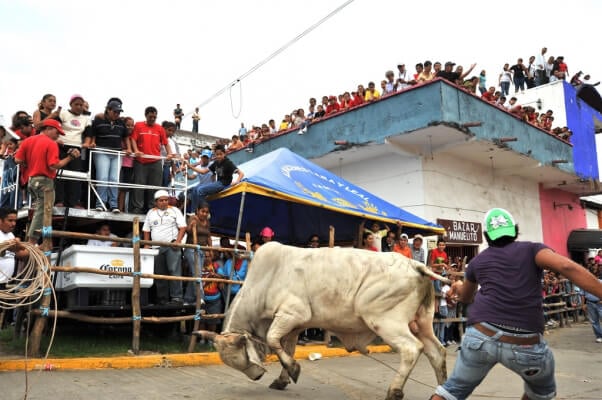 The 14 Worst 'Festivals' Still Taking Place Today | PETA The 14 Worst 'Festivals' Still Taking Place Today | PETA