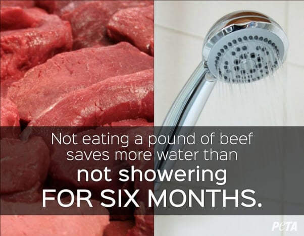 shower water stats