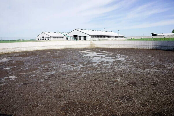 Manure Lagoon