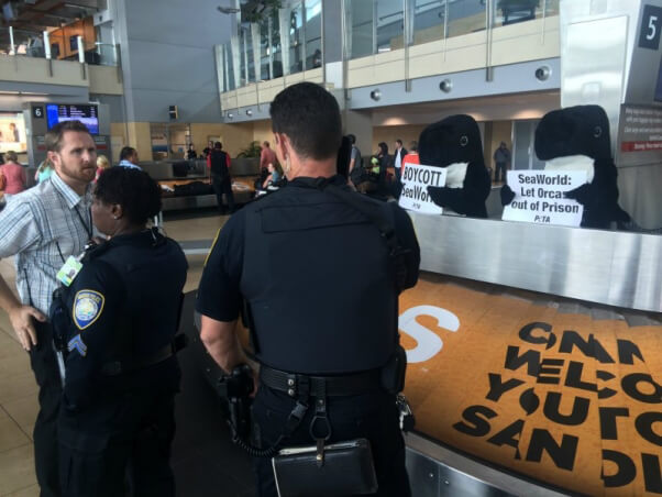 'ORCAS' TAKE OVER BAGGAGE CLAIM TO PROTEST SEAWORLD CRUELTY1