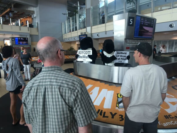 'ORCAS' TAKE OVER BAGGAGE CLAIM TO PROTEST SEAWORLD CRUELTY4