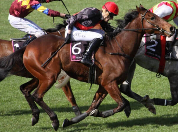 Horse being whipped by jockey