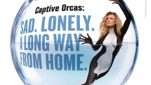 Joanna Krupa: Boycott SeaWorld