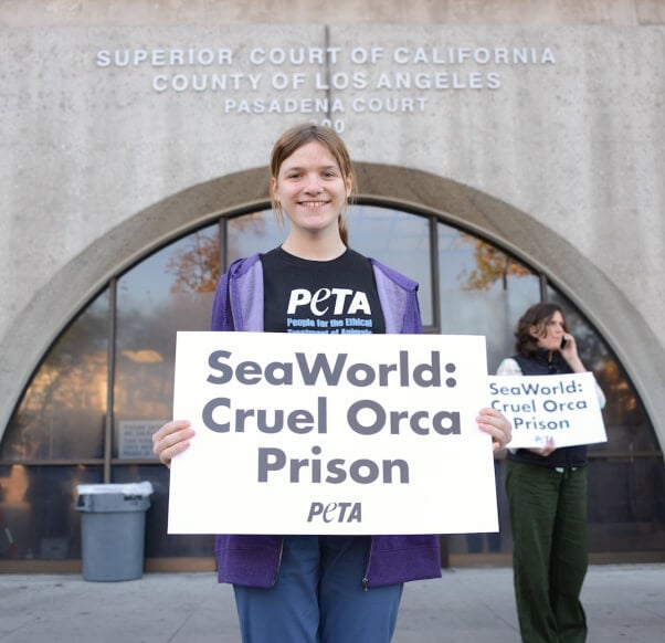 Rose at Pasadena Court for SeaWorld Protest