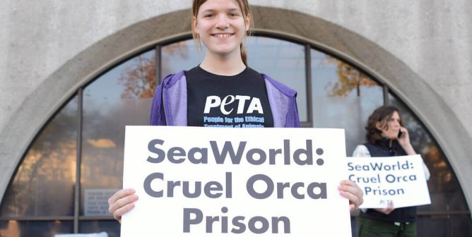 16 Times Schools and Students Spoke Up for Orcas