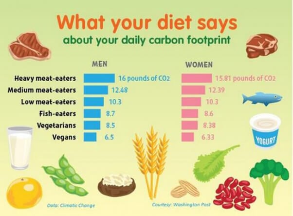 dietary carbon footprint graph