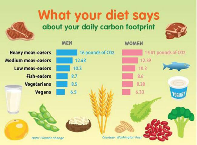 Fight Climate Change With Diet Change | PETA