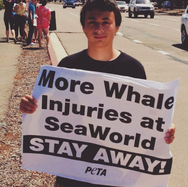 seaworld protest