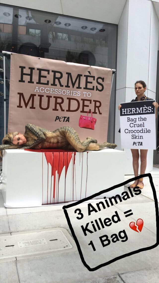 Most Shared: How PETA's Hermès Investigation Went Viral