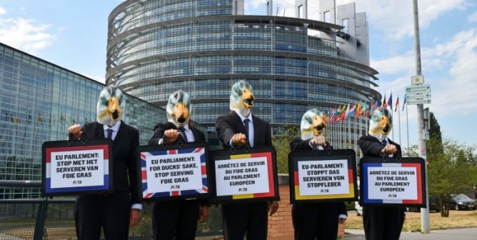 Flock of PETA ‘Ducks’ Heads to European Parliament Buildings With an Important Message