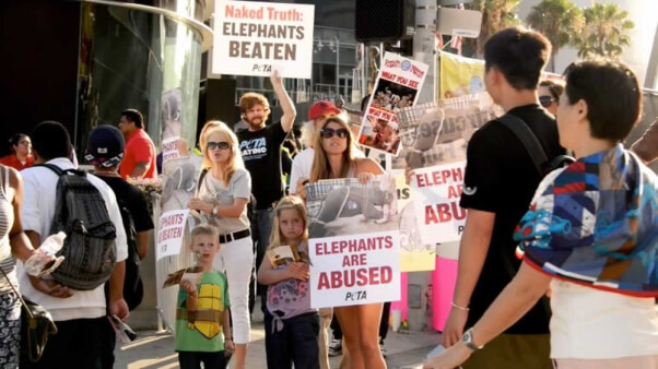 Ringling Bros protest at Staples Center