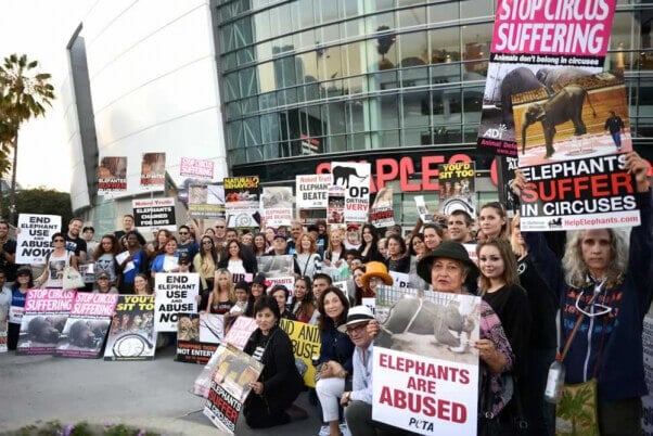 Ringling Bros protest at Staples Center