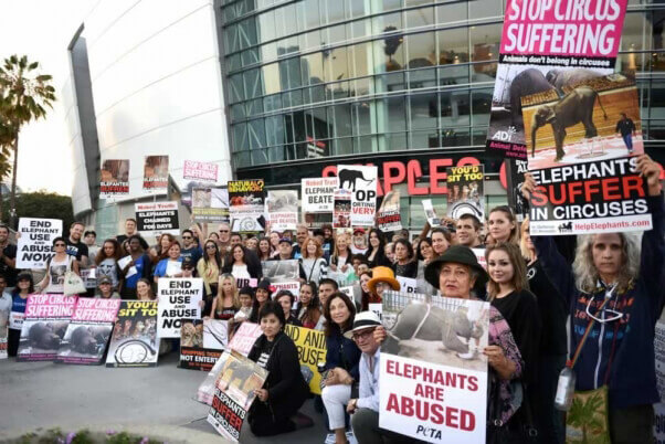 Ringling Bros protest at Staples Center