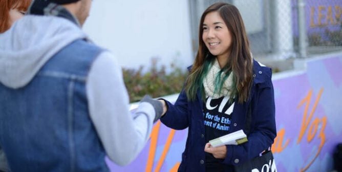 Teacher Activism: Spread the Word About Animal-Friendly School Activities