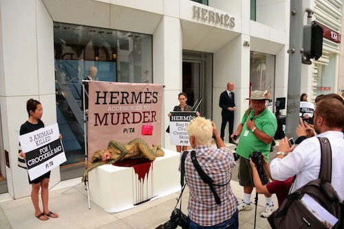 Peta reveals horrific conditions behind the production of Hermès's Birkin  bag