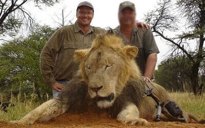 Walter Palmer smiles over the corpse of another animal, who, like Cecil, wanted only to be left in peace.