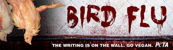 Bird Flu: The Writing Is on the Wall