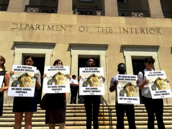 Washington, D.C., demonstration for Cecil the lion