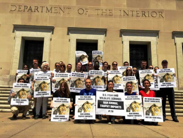 Washington, D.C., demonstration for Cecil the lion