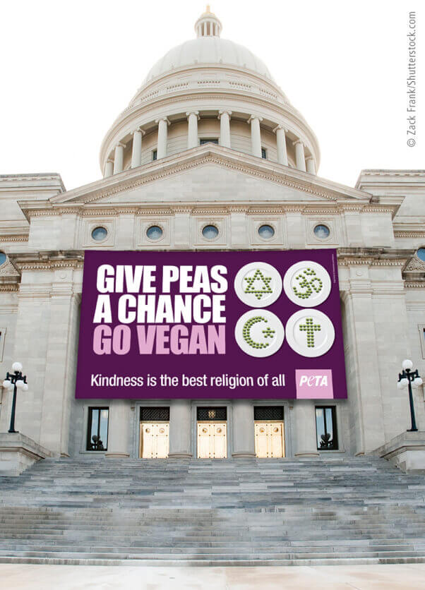 Proposed Arkansas 'Give Peas a Chance' banner