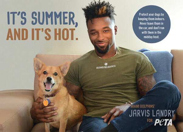 Jarvis Landry Anti Chaining Ad