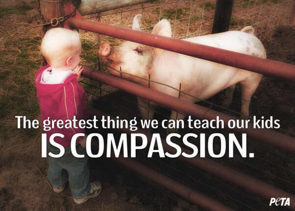 The-Greatest-Thing-Teach-Kids-Compassion-PETA