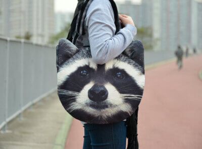 raccoonbag