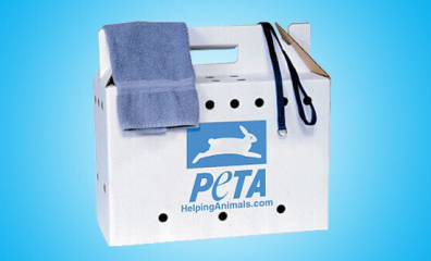 How to Make Your Own Emergency Animal Rescue Kit
