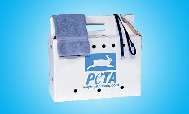 Pack an Emergency Animal Rescue Kit — Here's How | PETA