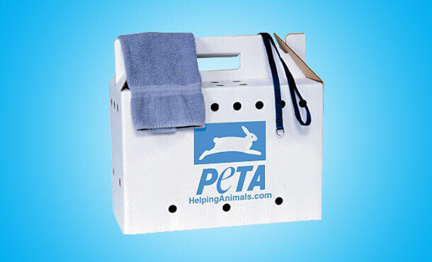 Pack an Emergency Animal Rescue Kit — Here's How | PETA Pack an Emergency Animal Rescue Kit — Here's How | PETA