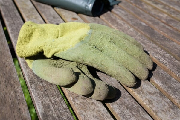 thick gloves for animal rescue kit