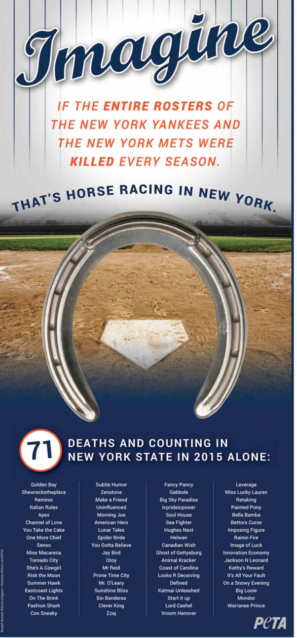 NY Horse Racing 'Imagine' Ad