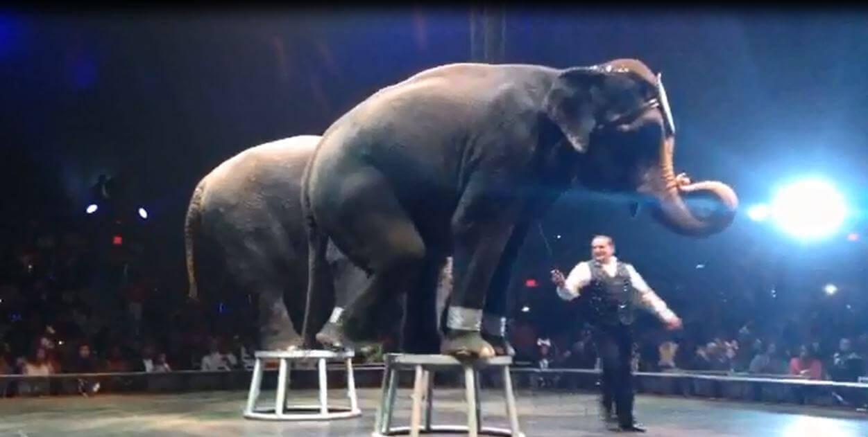 Universoul Circus Seating Chart Carson Ca