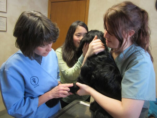 veterinarian office