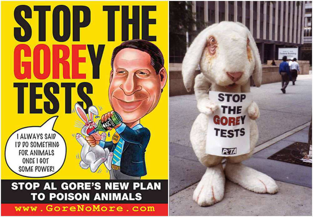After Decades of PETA Pressure, EPA Commits to Non-Animal Tests | PETA After Decades of PETA Pressure, EPA Commits to Non-Animal Tests | PETA