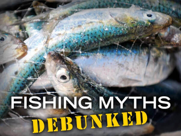 PETA-social-fishing-myths-debunked-v2