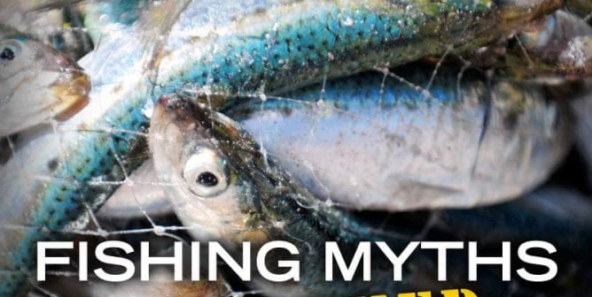 You Ll Never Go Fishing After Reading This Peta