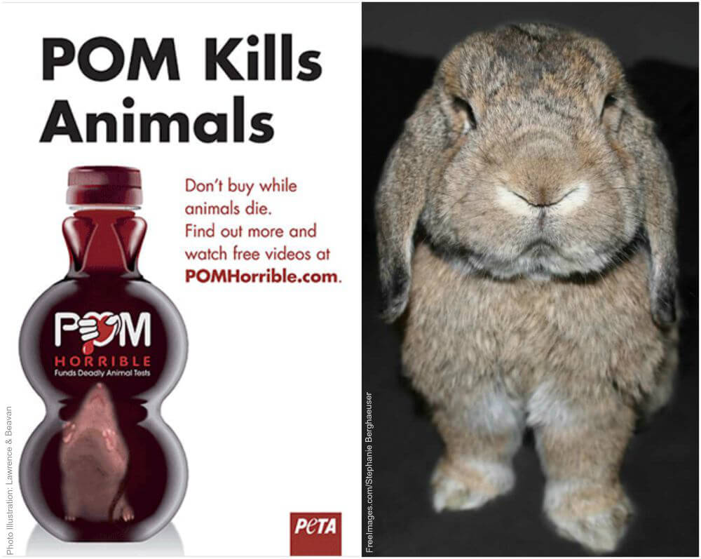 35 Things That Aren't Happening Today Because of PETA | PETA 35 Things That Aren't Happening Today Because of PETA | PETA