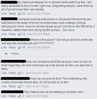 animals in labs facebook comments