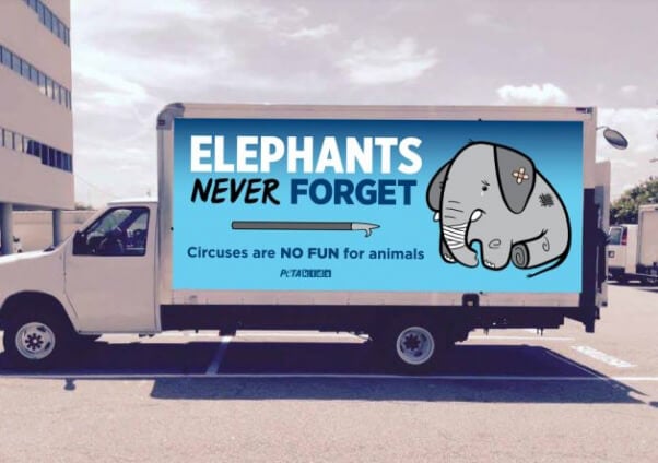 Mock-up of elephant car wrap